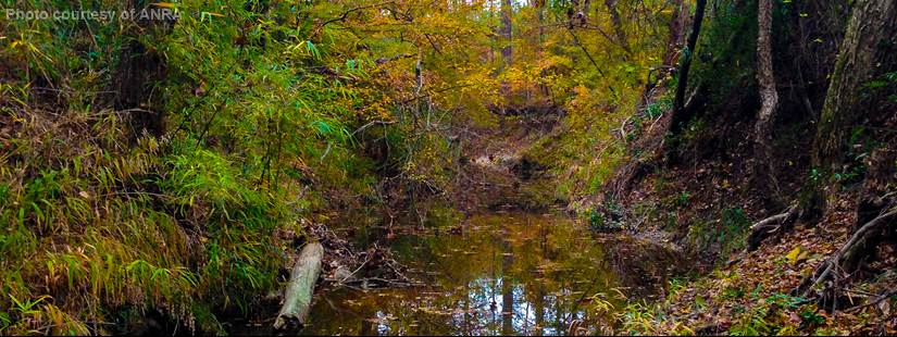 Middle Neches Water Quality Meeting